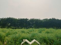 -光明小镇欢乐田园