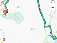 -青岛森林野生动物世界