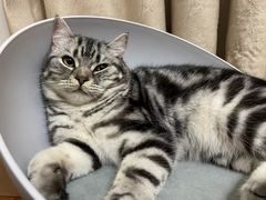 -邈墨茶馆(凤起路店)