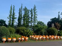 -上海长兴岛郊野公园