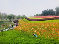 -天府芙蓉园