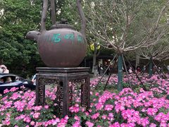 -湖畔居茶楼(湖滨店)