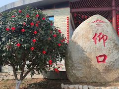 -崂山仰口游览区