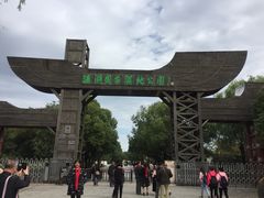 -溱湖国家湿地公园