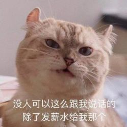 -哈颜科技轻美·