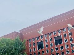 -中粮·祥云小镇