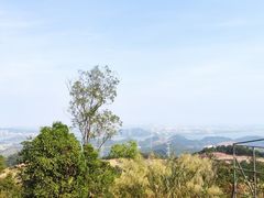 -大雁山风景区