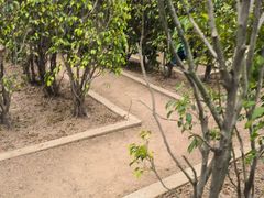 -厦门园林博览苑