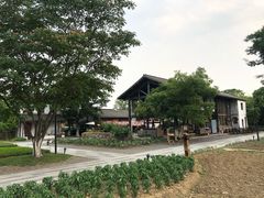 -田园东方蜜桃村的田野营地