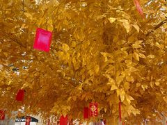 -梅龙镇广场