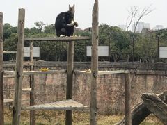 -南昌动物园