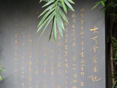 -大可堂普洱茶馆(襄阳南路馆)