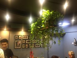 点击看大图 -藤野造型