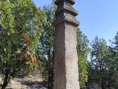 -白水寺森林公园