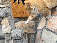 -辛庄国际文化艺术区