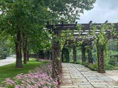 -北京张裕爱斐堡酒庄