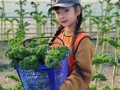 -菊园百果园