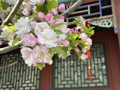 -月坛公园