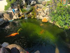-仙岳公园