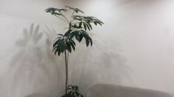 -HEYAN荷妍专业脱毛连锁机构