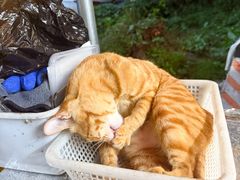 -颓记茶餐厅(美景总店)