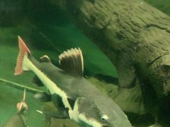 -泉州海丝野生动物世界