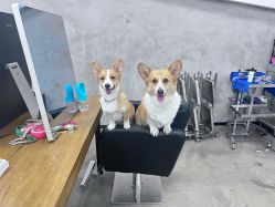 -蚂蚁造型俱乐部