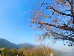 -西昌邛海湾柏樾酒店(原邛海湾柏栎度假酒店)