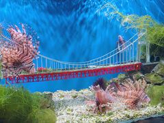 -太平洋海底世界