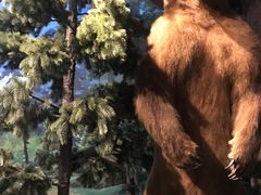 -陕西自然博物馆