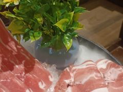 -快乐小羊·内蒙牛羊肉火锅(流花中心店)