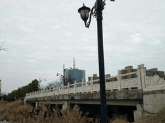 -五里湖湿地公园