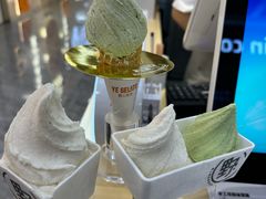 -野人先生现做冰淇淋(西安赛格店)