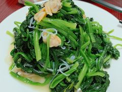 芥末拌菠菜粉丝-九龙餐厅(大沽路店)