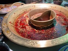 -新哥老官·畅吃123·美蛙世界(苏宁广场店)