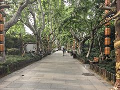 -杭州黄龙洞