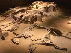 -洛阳周王城天子驾六博物馆