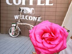 -舊新事咖啡NOTHING NEW COFFEE