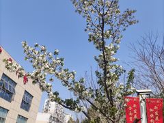 -上海交通大学医学院附属仁济医院(南院)