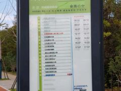 -上海滨江森林公园