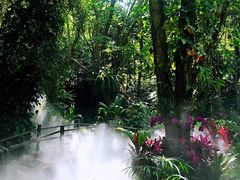-呀诺达热带雨林