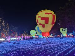 -广西壮族自治区药用植物园