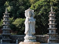 -泰山风景名胜区-普照寺