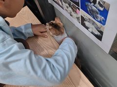-芭比堂动物医院(广州爱宠下渡路分院)
