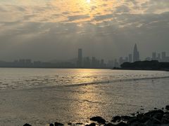 -深圳湾公园(南山区)
