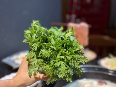 -成都老码头火锅(旺角店)