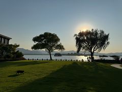 -杭州西湖柳莺里酒店·闻莺厅