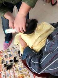 -龙文宝贝上门婴儿理发满月剃胎毛(总店)