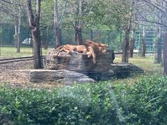 -秦皇岛野生动物园