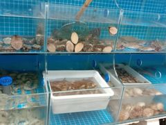 -宾朋海鲜特色美食餐厅·纯手工鲅鱼水饺(兴海路店)